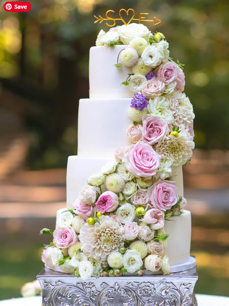 Choosing a Cake Maker. Mobile Image